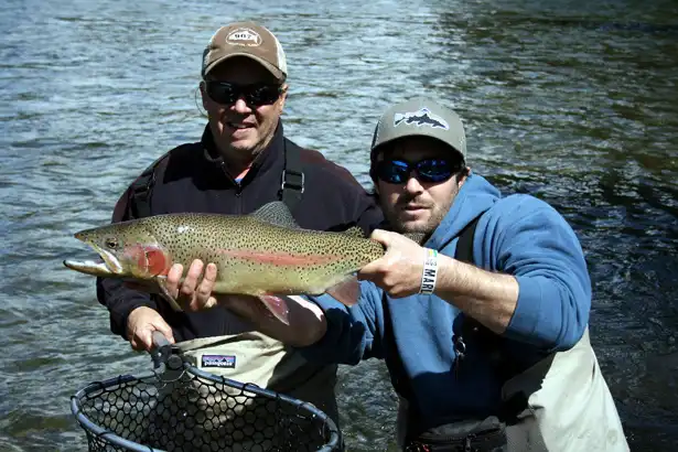 big-fish