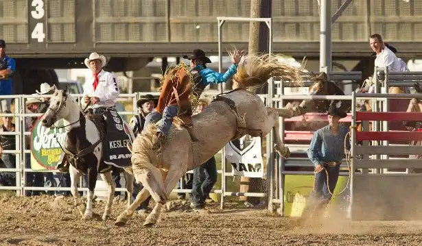 cowboys